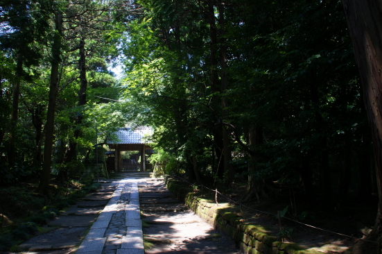 寿福寺の参道.JPG