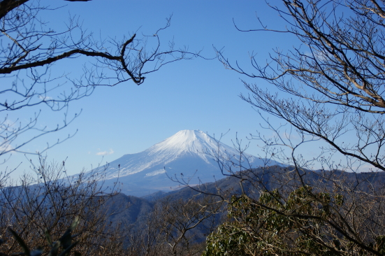 畦ガ丸から富士山を望む.JPG